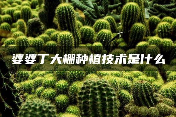 婆婆丁大棚种植技术是什么