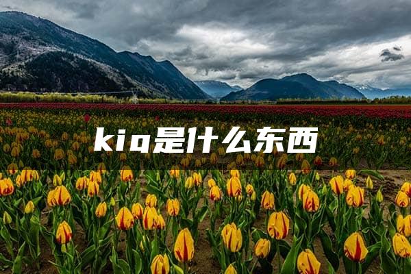 kig是什么东西