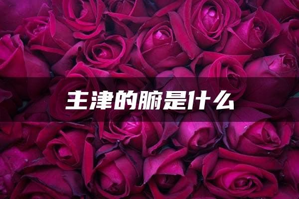 主津的腑是什么