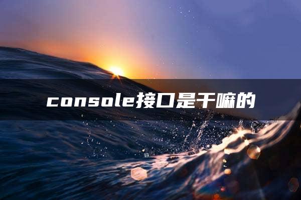 console接口是干嘛的