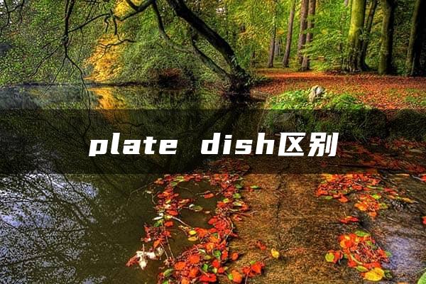 plate dish区别