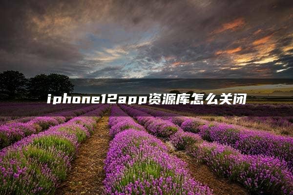 iphone12app资源库怎么关闭