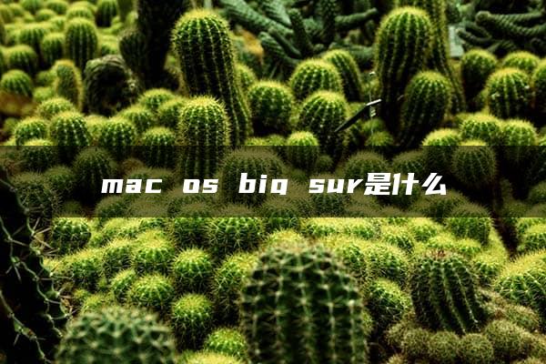 mac os big sur是什么