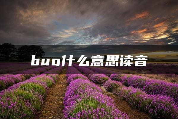 bug什么意思读音