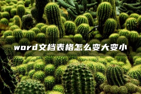 word文档表格怎么变大变小