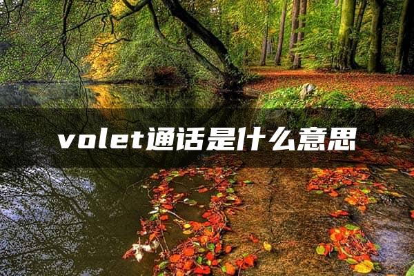 volet通话是什么意思