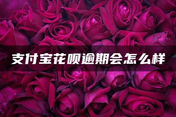 支付宝花呗逾期会怎么样