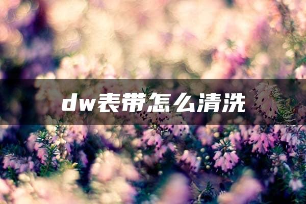 dw表带怎么清洗