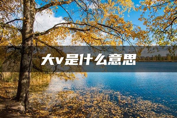 大v是什么意思