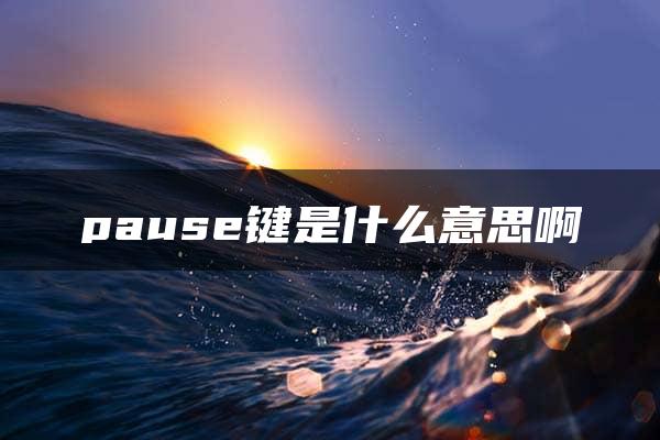 pause键是什么意思啊