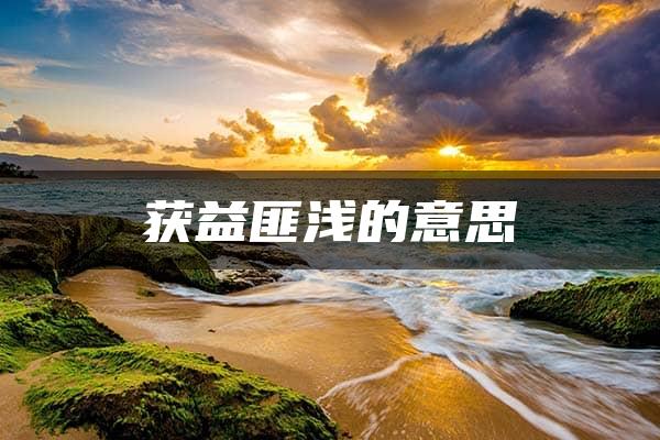 获益匪浅的意思