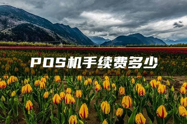 POS机手续费多少