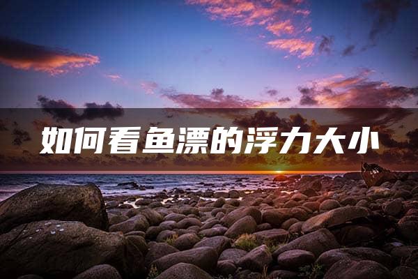 如何看鱼漂的浮力大小