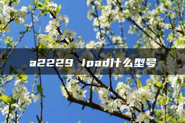 a2229 ipad什么型号