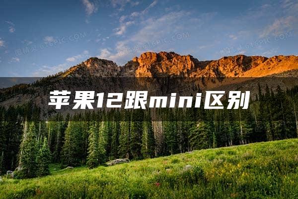 苹果12跟mini区别