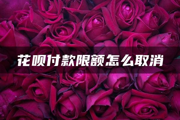 花呗付款限额怎么取消