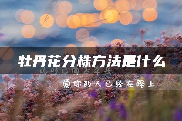 牡丹花分株方法是什么