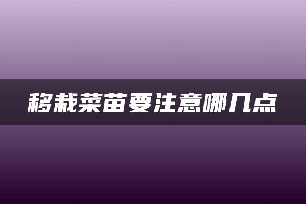 移栽菜苗要注意哪几点