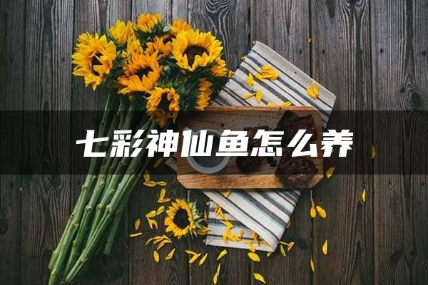 七彩神仙鱼怎么养