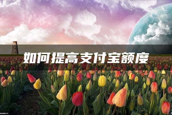 如何提高支付宝额度