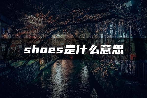 shoes是什么意思