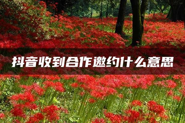 抖音收到合作邀约什么意思