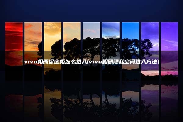 vivo相册保密柜怎么进入(vivo相册隐私空间进入方法)