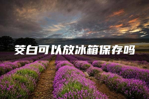 茭白可以放冰箱保存吗