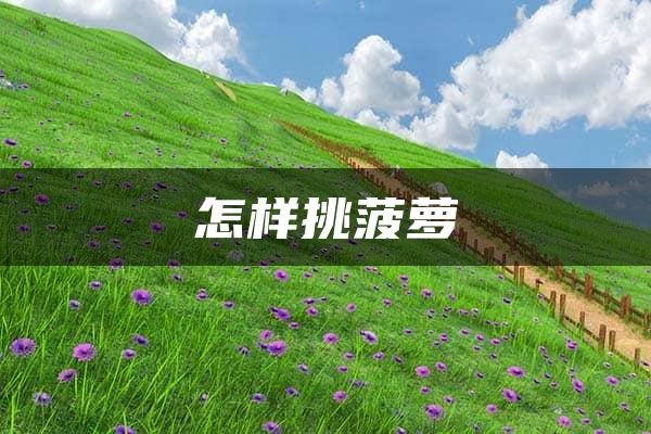 怎样挑菠萝