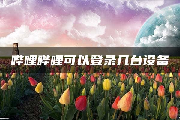 哔哩哔哩可以登录几台设备