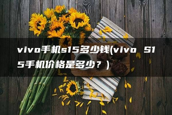 vivo手机s15多少钱(vivo S15手机价格是多少？)