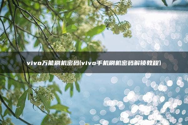 vivo万能刷机密码(vivo手机刷机密码解锁教程)