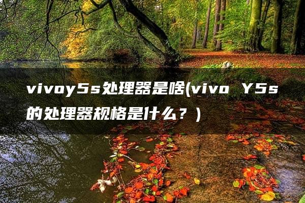 vivoy5s处理器是啥(vivo Y5s的处理器规格是什么？)