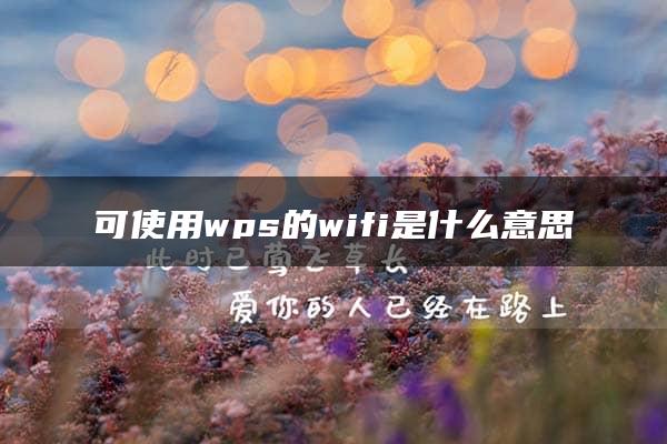 可使用wps的wifi是什么意思