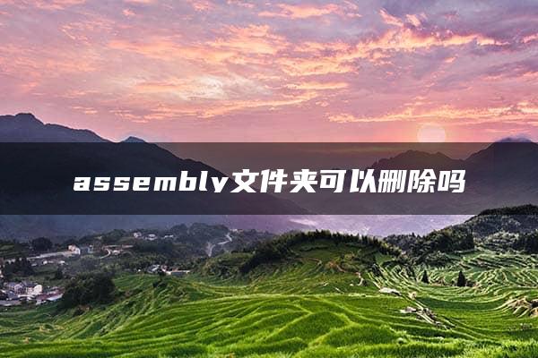 assembly文件夹可以删除吗