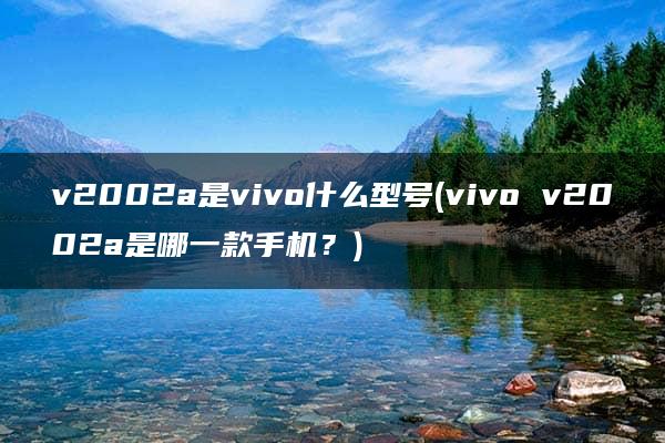 v2002a是vivo什么型号(vivo v2002a是哪一款手机？)