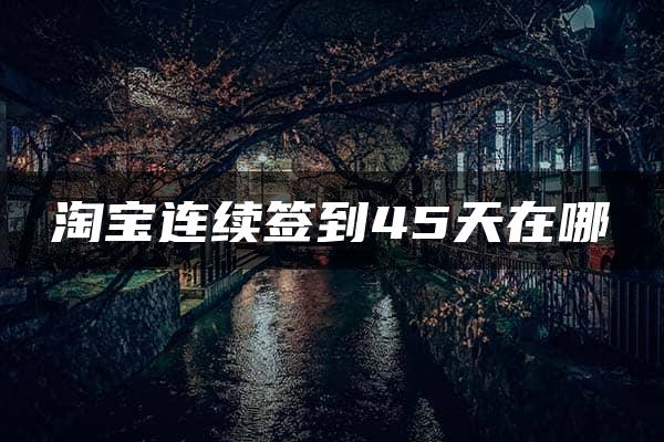 淘宝连续签到45天在哪