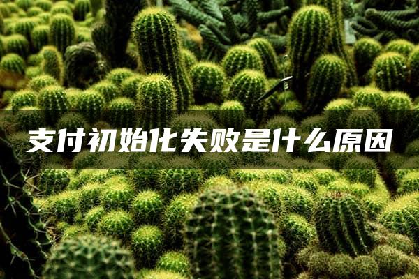 支付初始化失败是什么原因