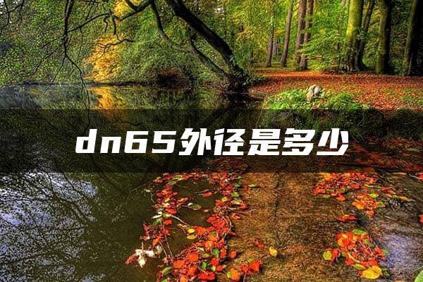 dn65外径是多少