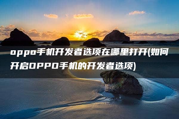 oppo手机开发者选项在哪里打开(如何开启OPPO手机的开发者选项)