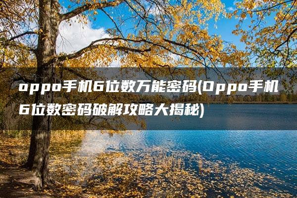 oppo手机6位数万能密码(Oppo手机6位数密码破解攻略大揭秘)