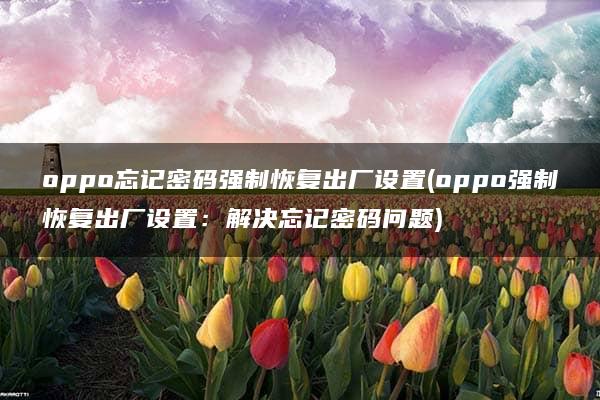 oppo忘记密码强制恢复出厂设置(oppo强制恢复出厂设置：解决忘记密码问题)