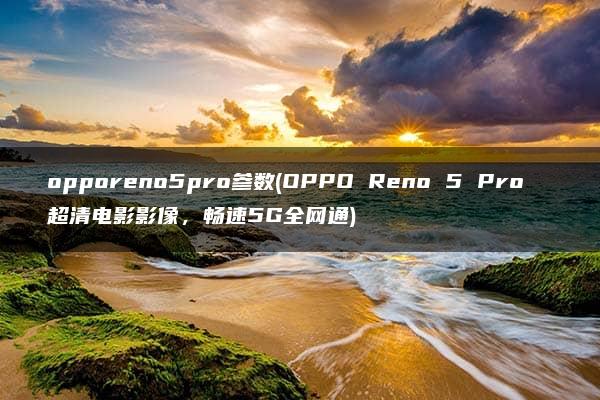 opporeno5pro参数(OPPO Reno 5 Pro  超清电影影像，畅速5G全网通)