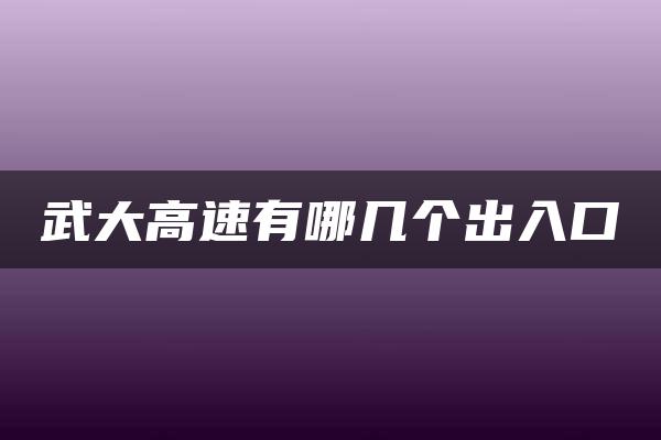 武大高速有哪几个出入口