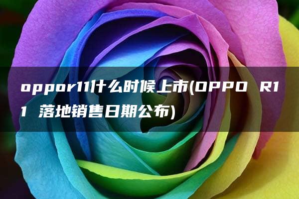 oppor11什么时候上市(OPPO R11 落地销售日期公布)