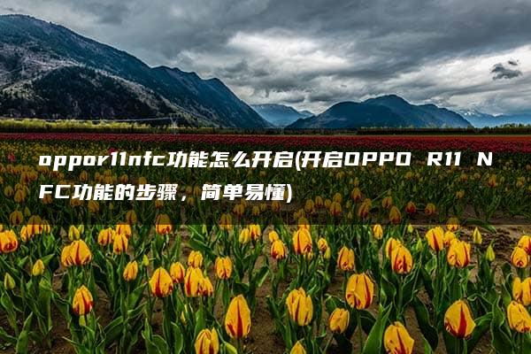 oppor11nfc功能怎么开启(开启OPPO R11 NFC功能的步骤，简单易懂)