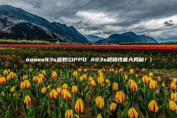 oppoa93s参数(OPPO A93s规格性能大揭秘！)