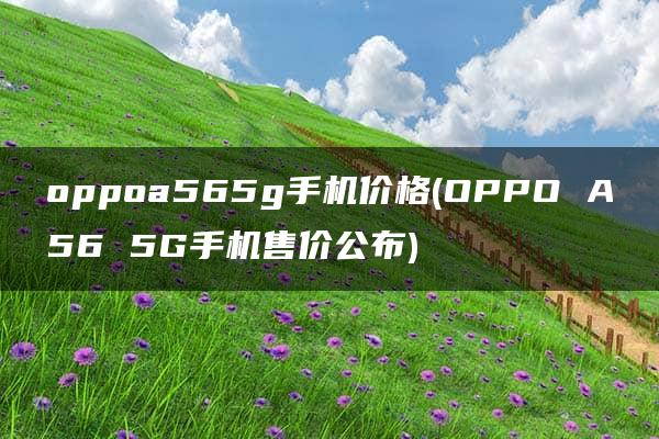 oppoa565g手机价格(OPPO A56 5G手机售价公布)