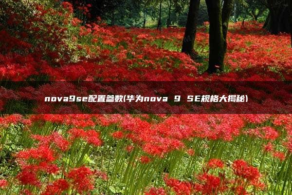 nova9se配置参数(华为nova 9 SE规格大揭秘)