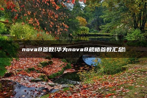 nova8参数(华为nova8规格参数汇总)